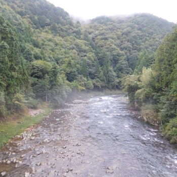 DSCN8784.JPG