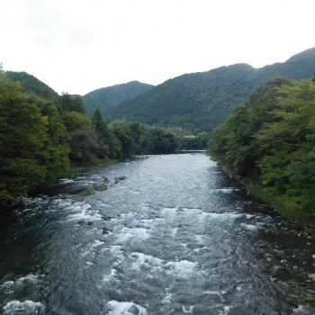 DSCN8795.JPG