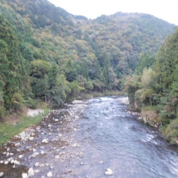 DSCN8808.JPG