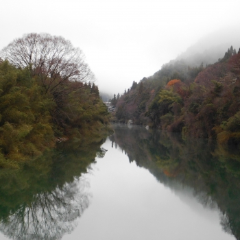 DSCN8842.JPG