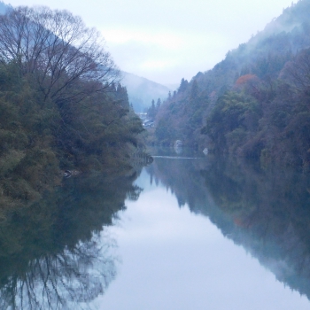 DSCN8846.JPG