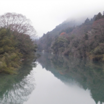 DSCN8850.JPG
