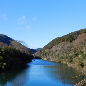 DSCN8859.JPG