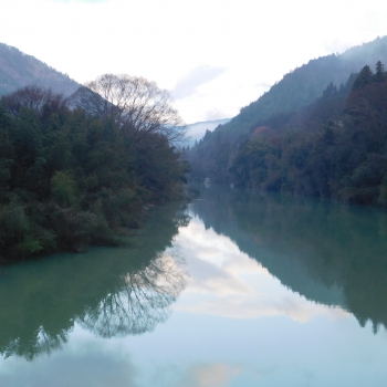 DSCN8880.JPG
