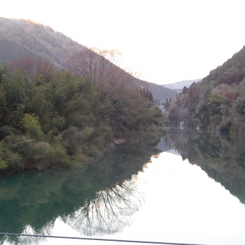 DSCN8983.JPG