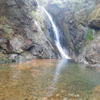 DSCN8986.JPG