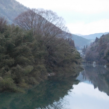 DSCN8993.JPG