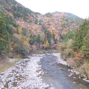 DSCN9000.JPG