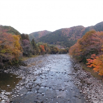 DSCN9003.JPG
