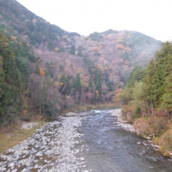 DSCN9033.JPG