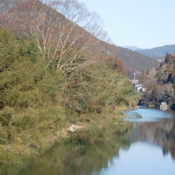 DSCN9043.JPG
