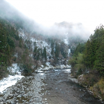DSCN9195.JPG
