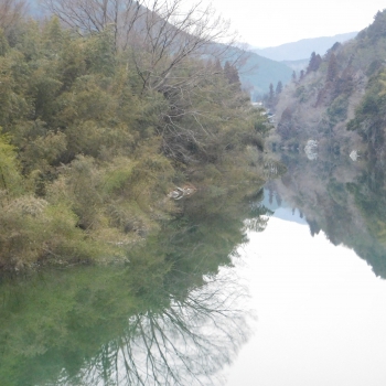 DSCN9199.JPG