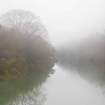 DSCN9203.JPG