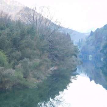 DSCN9333.JPG