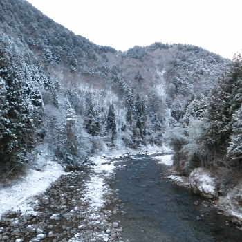 DSCN9334.JPG