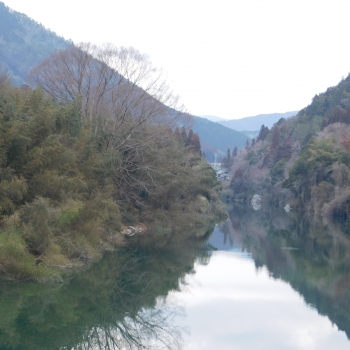 DSCN9337.JPG