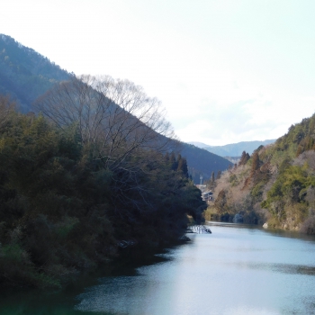 DSCN9453.JPG