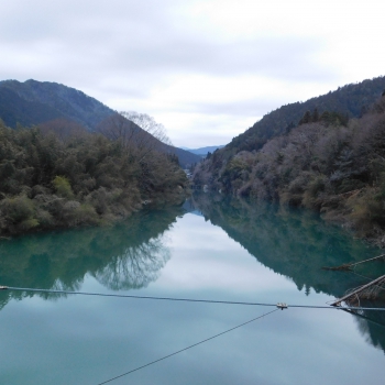DSCN9483.JPG