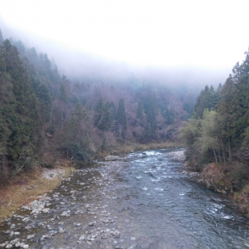 DSCN9485.JPG