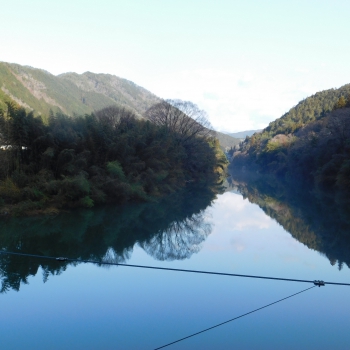 DSCN9495.JPG