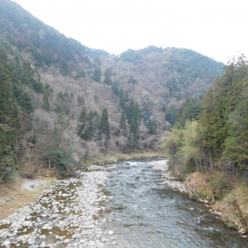 DSCN9501.JPG