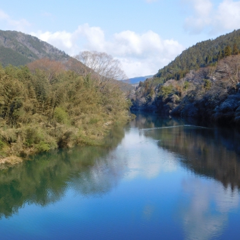 DSCN9503.JPG