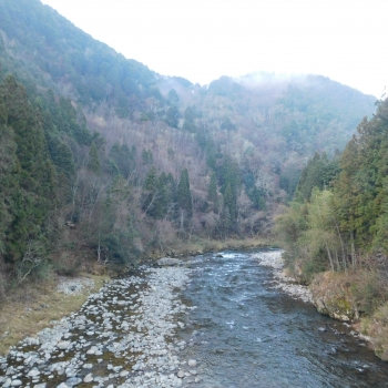 DSCN9505.JPG