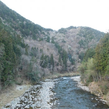 DSCN9520.JPG