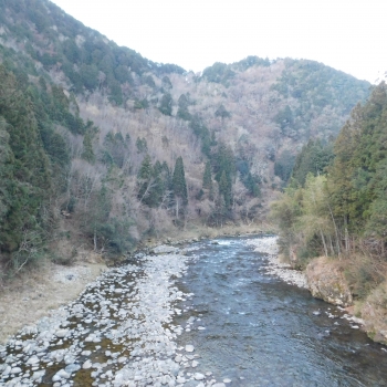DSCN9524.JPG