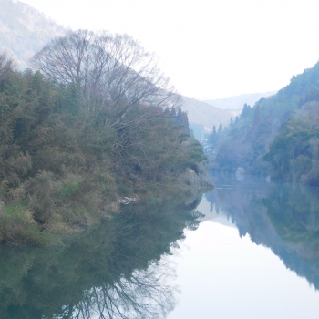 DSCN9535.JPG