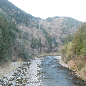 DSCN9536.JPG