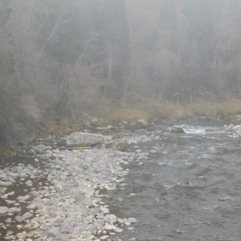 DSCN9549.JPG