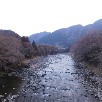DSCN9556.JPG
