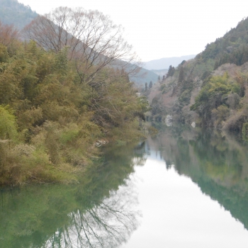 DSCN9559.JPG