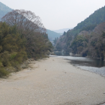 DSCN9616.JPG