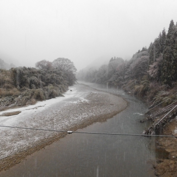 DSCN9643.JPG