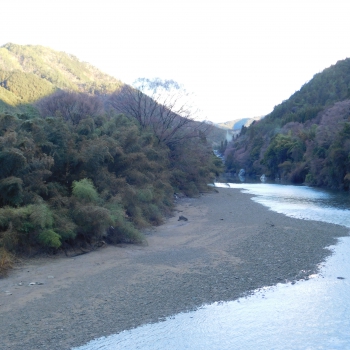 DSCN9648.JPG