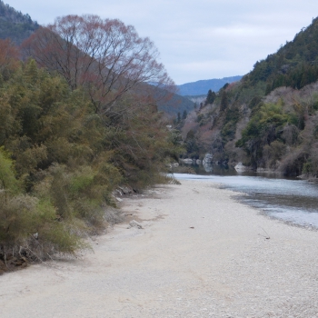 DSCN9653.JPG