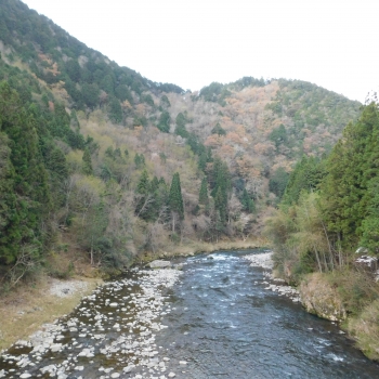 DSCN9681.JPG