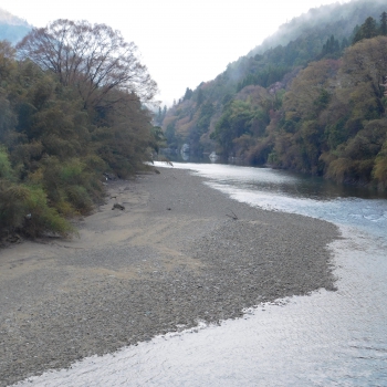 DSCN9702.JPG