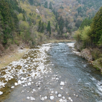 DSCN9703.JPG