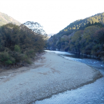 DSCN9710.JPG