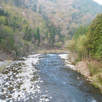 DSCN9711.JPG
