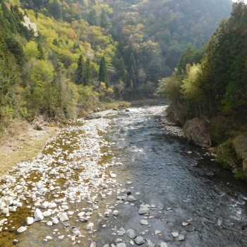 DSCN9719.JPG