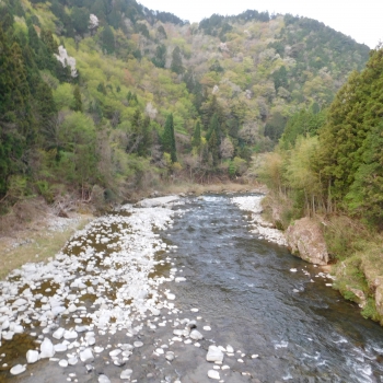 DSCN9723.JPG