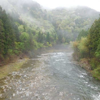 DSCN9731.JPG
