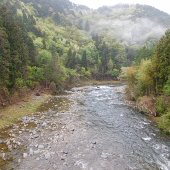DSCN9735.JPG