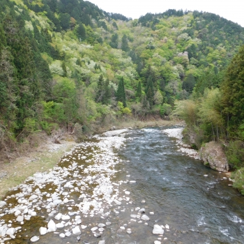 DSCN9751.JPG