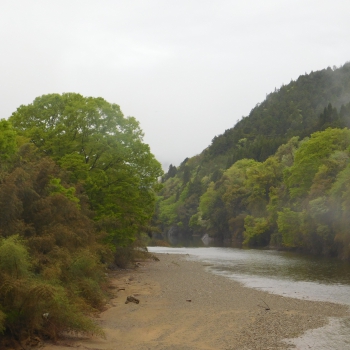 DSCN9763.JPG
